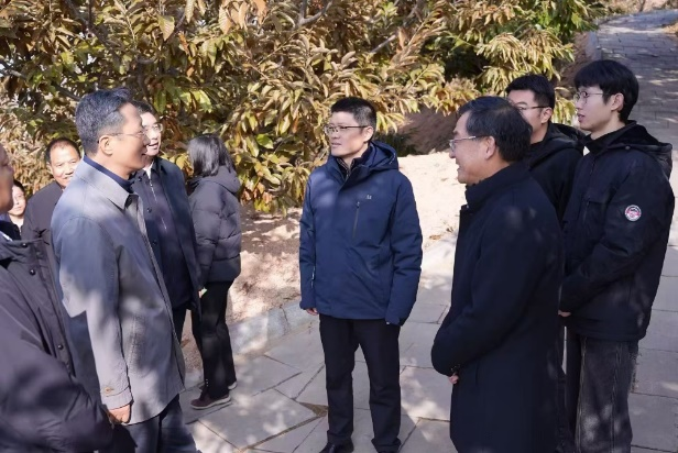 图片 3.png