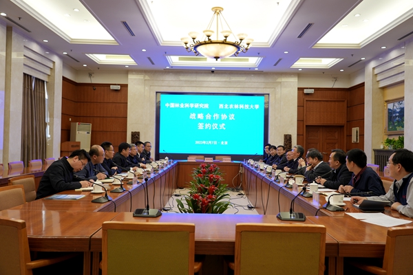 e52627b48e504fa4bb67c1a990708452.jpg 1.jpg