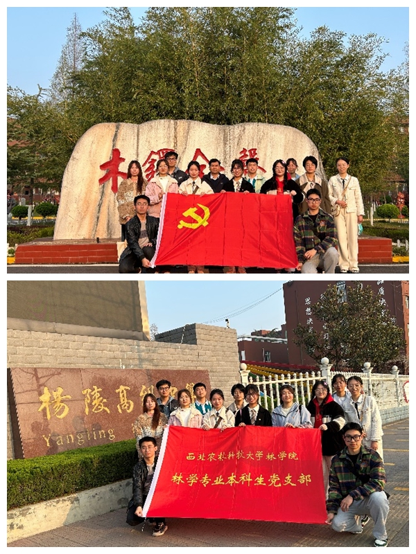 e6f7c04f6b6e4cb8b066811ed7b7102c.jpg 光影魔术手拼图3.jpg